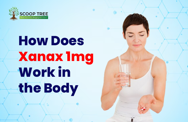 Xanax 1mg Work in the Body