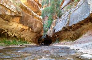 Zion Subway Hike