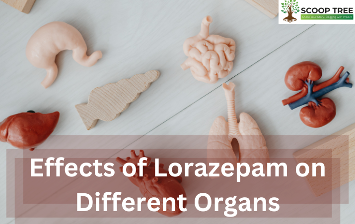 Effects of Lorazepam on Different Organs