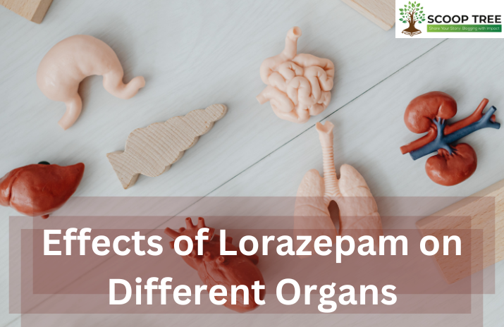 Effects of Lorazepam on Different Organs