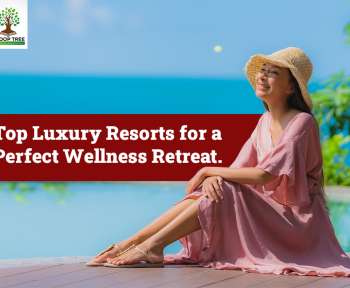 Top Luxury Resorts for a Perfect Wellness